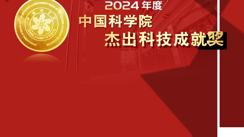 人工智能应用平台十大品牌：揭秘行业领跑者背后的技术力量
